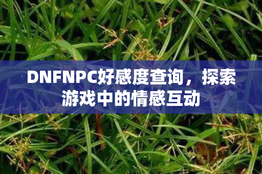 DNFNPC好感度查询图片