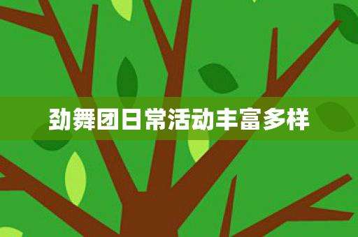 劲舞团日常活动丰富多样图片