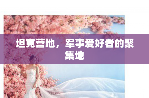 军事爱好者的聚集地图片