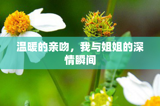 温暖的亲吻，我与姐姐的深情瞬间