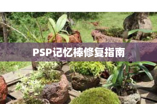 PSP记忆棒修复指南图片