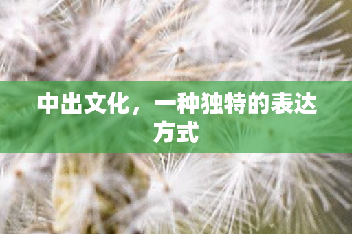 中出文化,一种独特的表达方式 中出文化,一种独特的表达方式