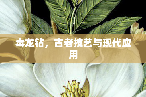 古老技艺与现代应用图片