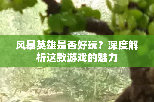 深度解析这款游戏的魅力图片