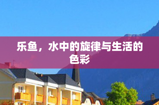 水中的旋律与生活的色彩图片