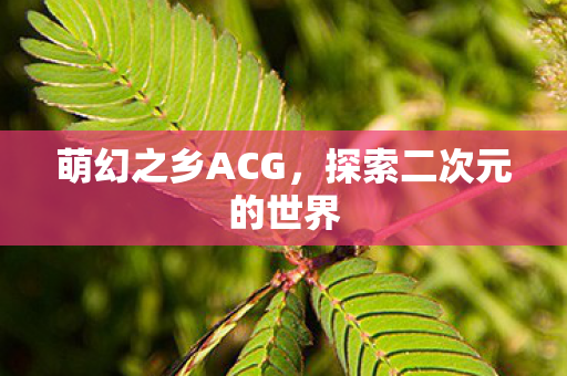 探索二次元的世界图片