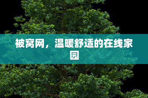 温暖舒适的在线家园图片