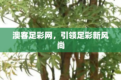 引领足彩新风尚图片