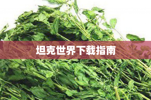 坦克世界下载指南图片