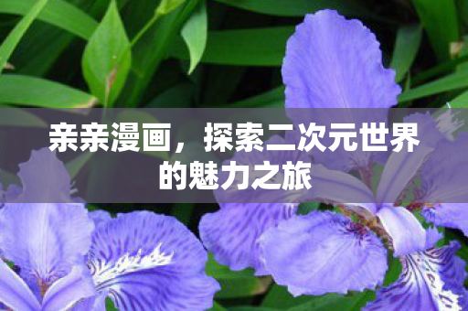 探索二次元世界的魅力之旅图片