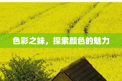 探索颜色的魅力图片