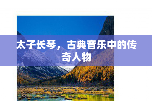 古典音乐中的传奇人物图片