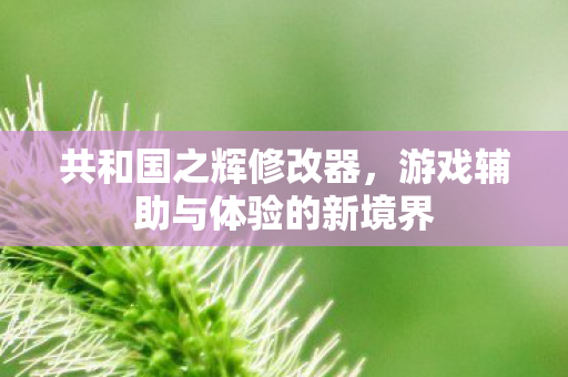 游戏辅助与体验的新境界图片
