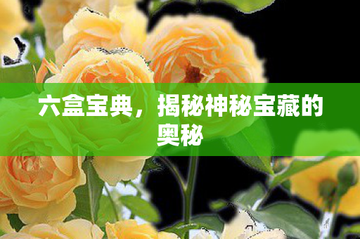 揭秘神秘宝藏的奥秘图片