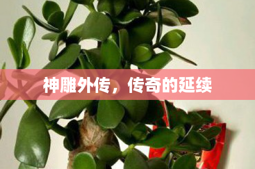 传奇的延续图片