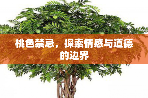 探索情感与道德的边界图片