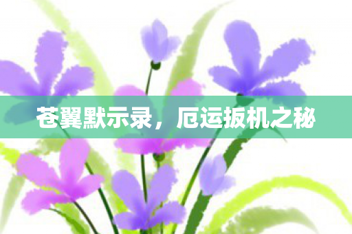 厄运扳机之秘图片