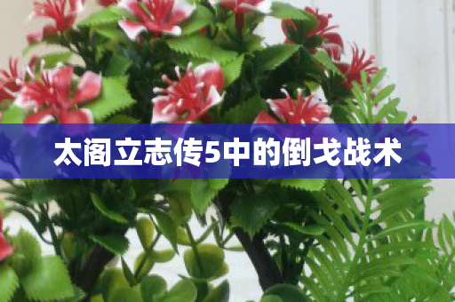 太阁立志传5中的倒戈战术图片