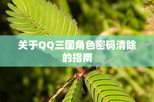 关于QQ三国角色密码清除的指南图片