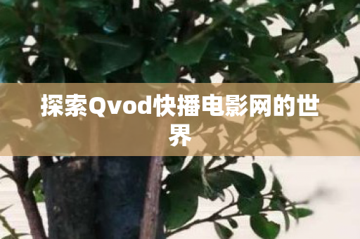 探索Qvod快播电影网的世界图片