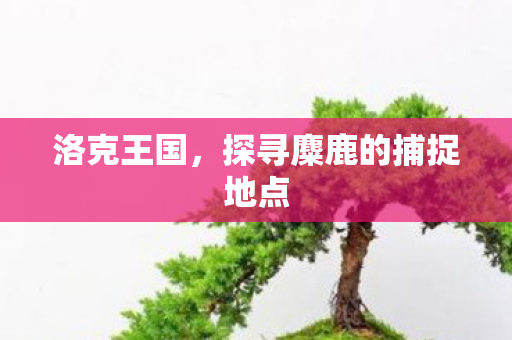 探寻麋鹿的捕捉地点图片