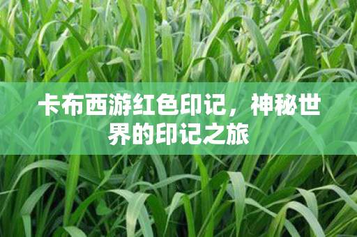 神秘世界的印记之旅图片