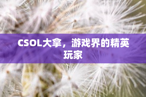 游戏界的精英玩家图片