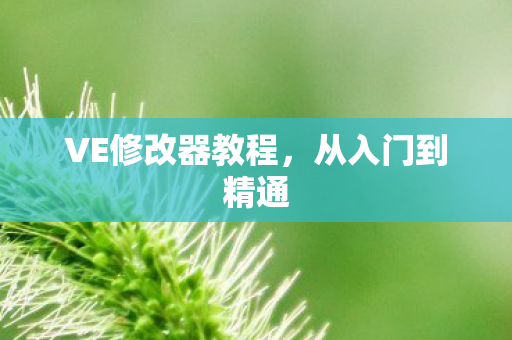 VE修改器教程图片