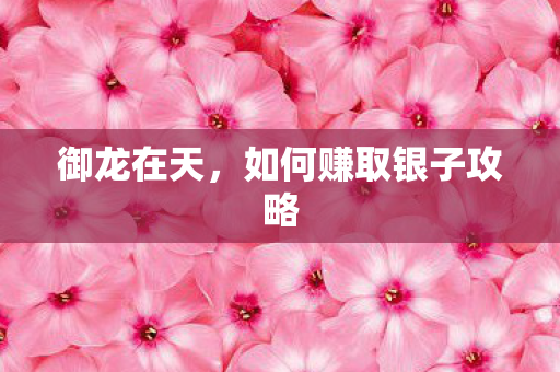 如何赚取银子攻略图片