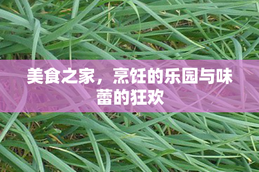 烹饪的乐园与味蕾的狂欢图片