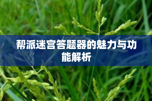 帮派迷宫答题器的魅力与功能解析图片