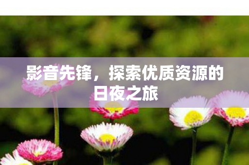 探索优质资源的日夜之旅图片