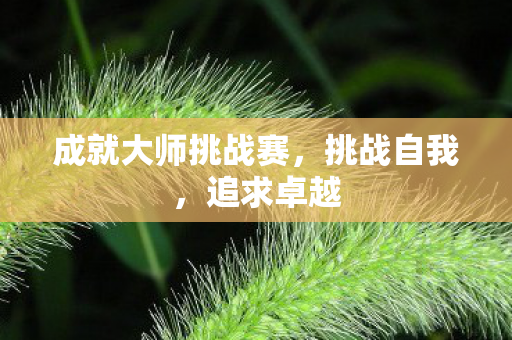 成就大师挑战赛图片