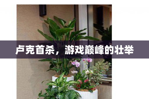 游戏巅峰的壮举图片