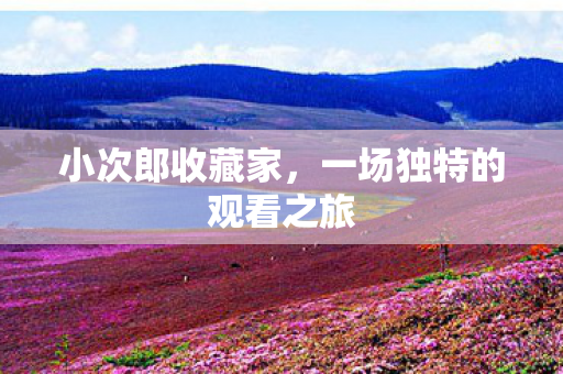 一场独特的观看之旅图片