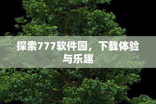 探索777软件园图片