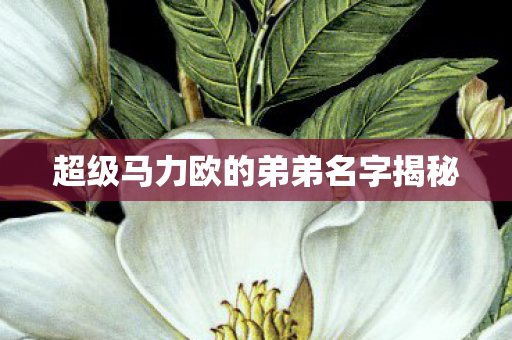 超级马力欧的弟弟名字揭秘图片