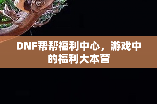 DNF帮帮福利中心图片