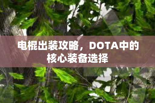 DOTA中的核心装备选择图片