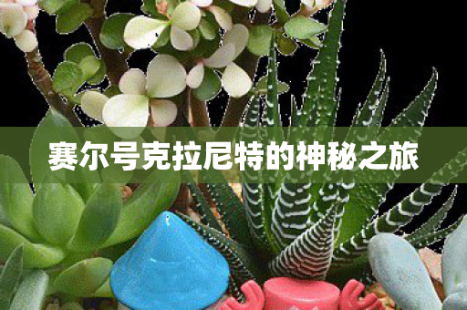 赛尔号克拉尼特的神秘之旅 赛尔号克拉尼特的神秘之旅