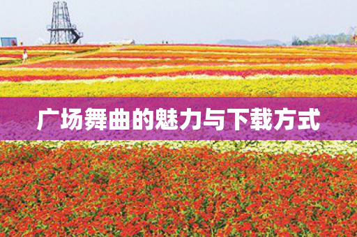 广场舞曲的魅力与下载方式图片