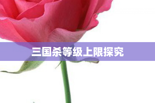 三国杀等级上限探究图片