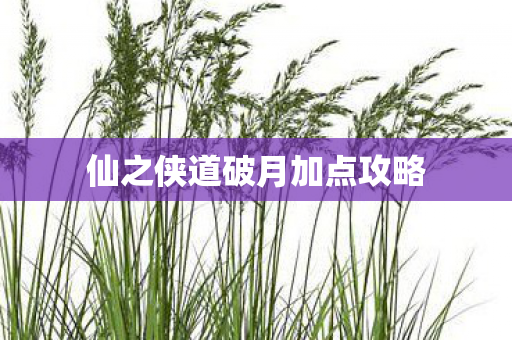 仙之侠道破月加点攻略图片
