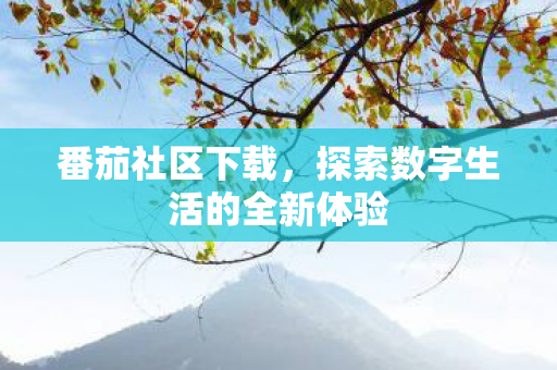 探索数字生活的全新体验图片