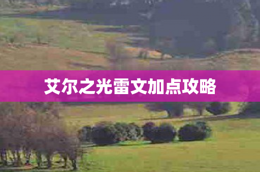 艾尔之光雷文加点攻略图片