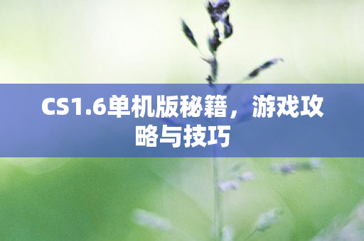 游戏攻略与技巧图片