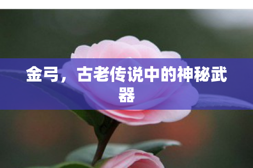 古老传说中的神秘武器图片