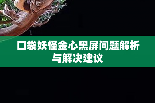 口袋妖怪金心黑屏问题解析与解决建议图片