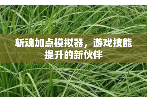 游戏技能提升的新伙伴图片
