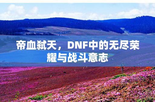 DNF中的无尽荣耀与战斗意志图片